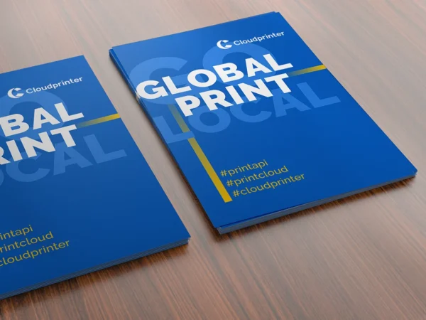 Flyer (10 pcs)